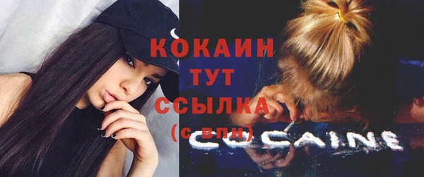 прущий лед Абаза