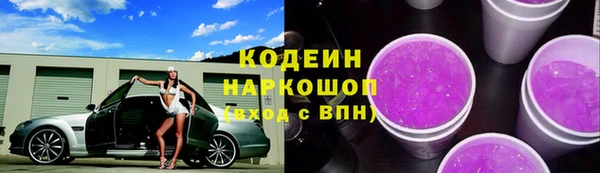 молекула духа Переславль-Залесский