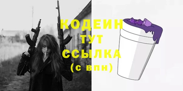 молекула духа Переславль-Залесский