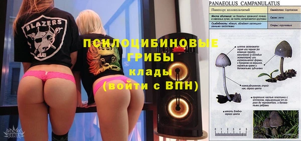 прущий лед Абаза