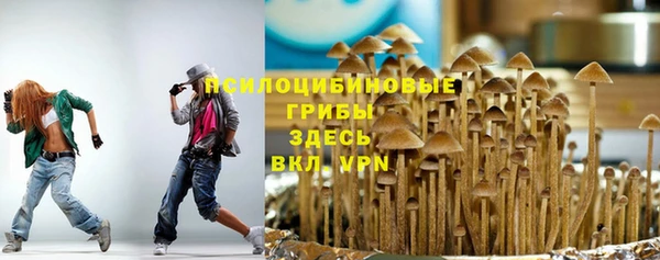 молекула духа Переславль-Залесский